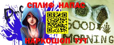 молекула духа Северобайкальск