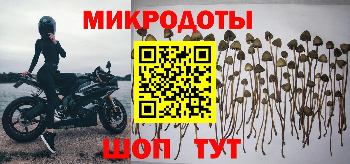 Обь  сколько стоит  Вход с VPN  Галлюциногенные грибы Psilocybe  Псилоцибиновые грибы Magic Shrooms 